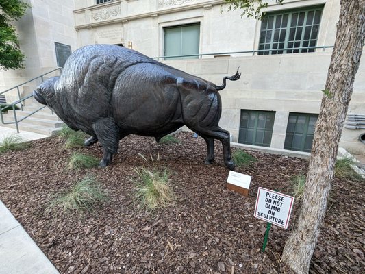 Briscoe Western Art Museum by null