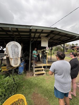 Kona Coffee Living History Farm by null