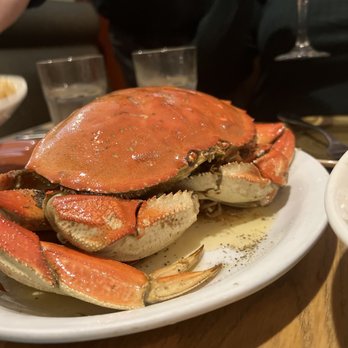 Thanh Long - Famous garlic Roast Crab - Seafood Near Me - San Francisco, California Thanh Long - Famous garlic Roast Crab - Seafood Near Me - San Francisco, California