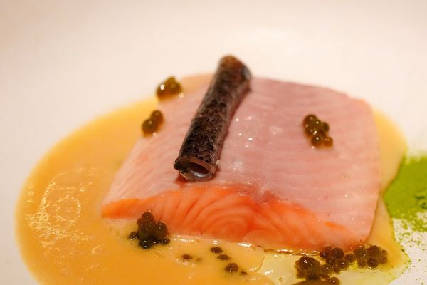 Ritual at Manresa by null