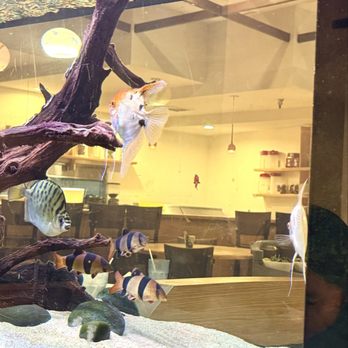 Quan Hy Restaurant - Fish tank - Vietnamese Near Me - Westminster, California Quan Hy Restaurant - Fish tank - Vietnamese Near Me - Westminster, California