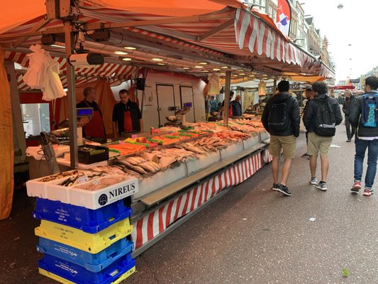 Albert Cuypstraat by null