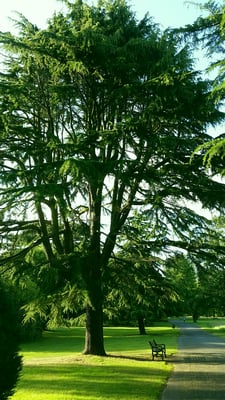 Ormeau Park by null