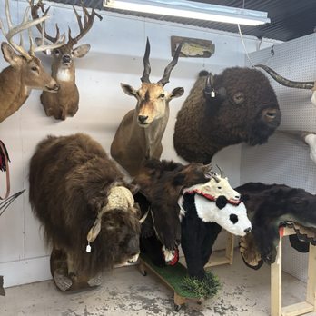 Ozark Antiques - Antiques Near Me - Ozark, Missouri