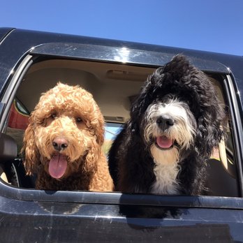 Traceys Bed and Biscuit Kennel - Dog Walkers Near Me - Moab, Utah