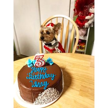 Puppy Boutique - 3rd bday Sept. 21, 2017 - Pet Stores Near Me - Brooklyn, New York Puppy Boutique - 3rd bday Sept. 21, 2017 - Pet Stores Near Me - Brooklyn, New York