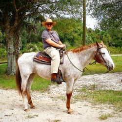 Prairie Trail Riders - Blazey is a real fun horse to ride!