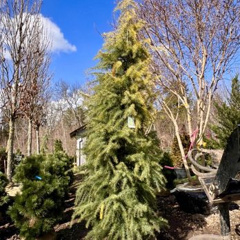 Hewitt Garden & Design Center - Nurseries & Gardening Near Me - Franklin, Tennessee