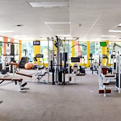 The Body - Gym floor with lots of light