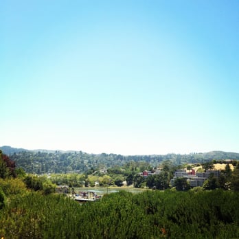 Mill Valley - Local Flavor Near Me