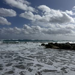 Palm Beach