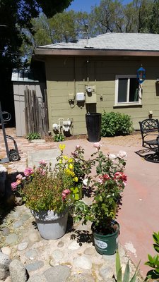 Westurf Nursery 1612 Claus Rd Modesto Ca Sod Sodding Westurf Nursery 1612 Claus Rd Modesto Ca Sod Sodding