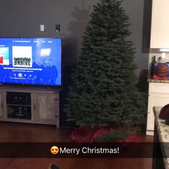AJ's Christmas Trees - Christmas Trees Near Me - Fort Collins, Colorado