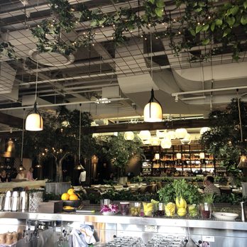 Aba - Mediterranean Near Me - Chicago, Illinois