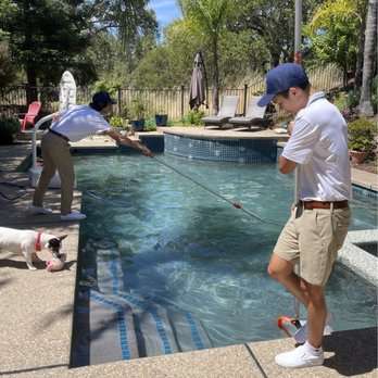 Ralphie's Pool Cleaning - Thought my pool was clean. NOW it's actually clean. - Pool Cleaners Near Me Ralphie's Pool Cleaning - Thought my pool was clean. NOW it's actually clean. - Pool Cleaners Near Me