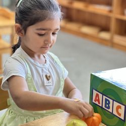 Stockton Montessori School - Many of our materials can be expanded with extensions or new activities, allowing each student to be challenged and supported.