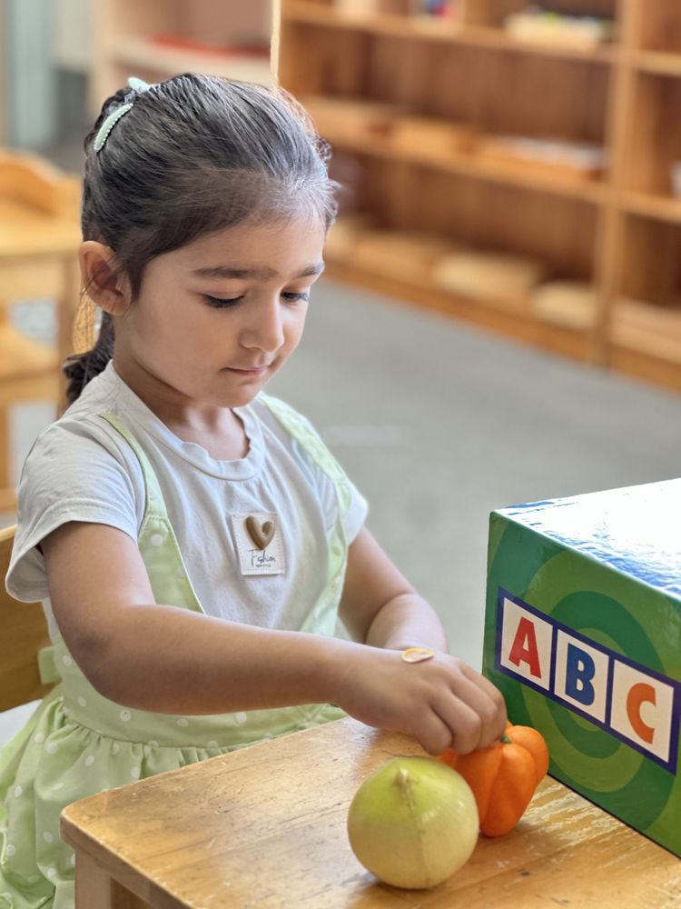Stockton Montessori School - childcare center in Stockton, CA