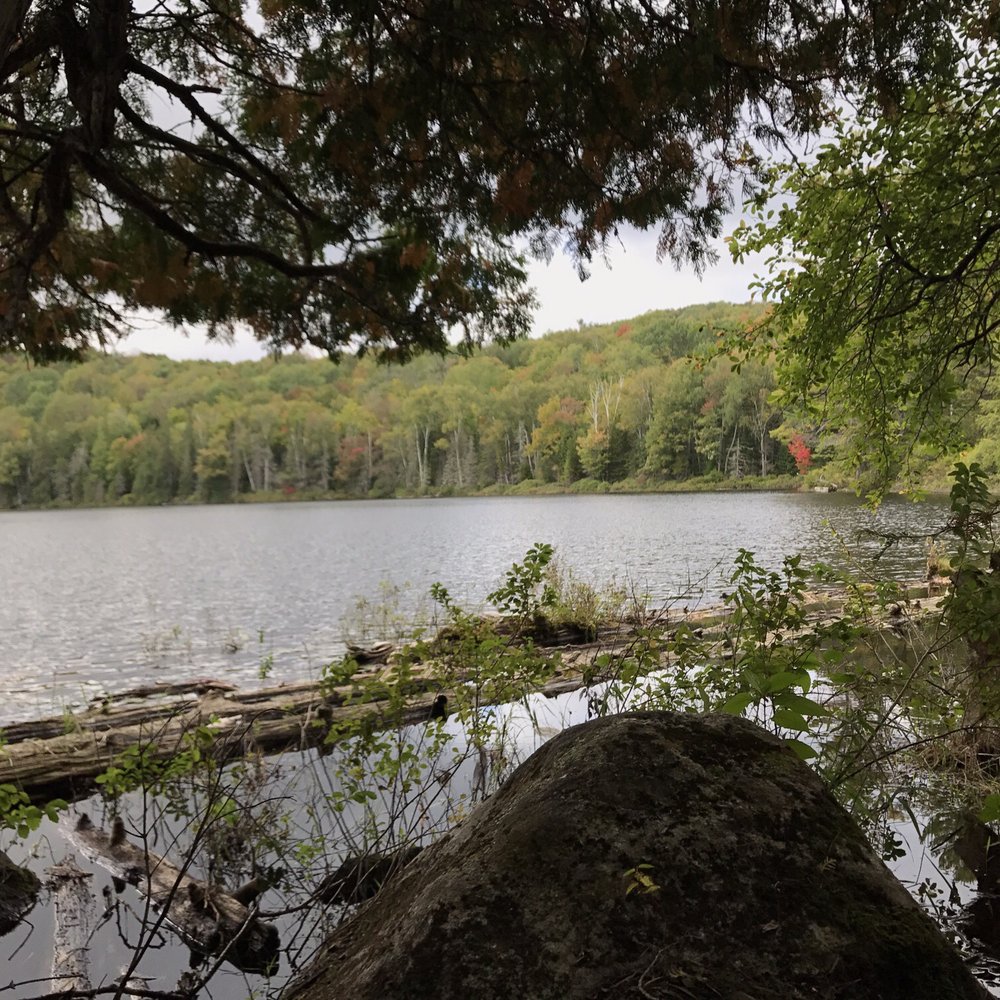 bullhead pond - Lakes Near Me - Indian Lake, New York