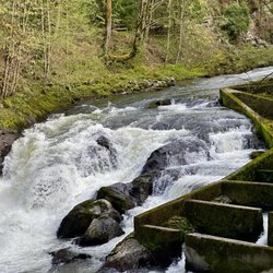 Brewery Park at Tumwater Falls