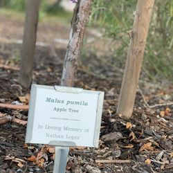 Glendora Arboretum and Botanical Garden