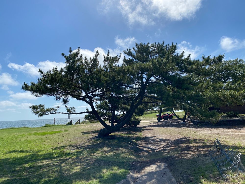 Sarah Constant Beach Park