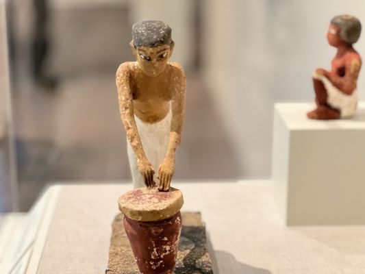 San Antonio Museum of Art by null