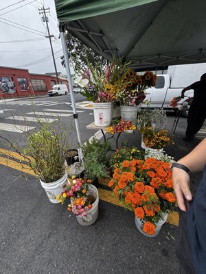 West Oakland Farmers Market by null