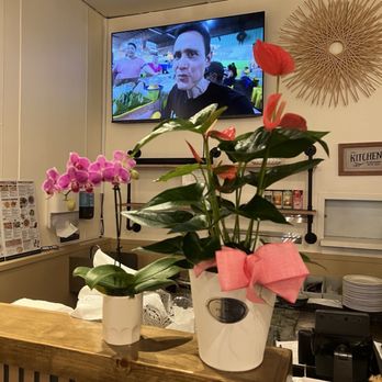 Rice Barn - Cashier with nice plants. - Thai Near Me - Fresno, California