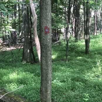 North Park - Parks Near Me - Allison Park, Pennsylvania