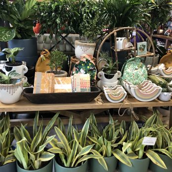 PlantShed - Florists Near Me - New York, New York PlantShed - Florists Near Me - New York, New York