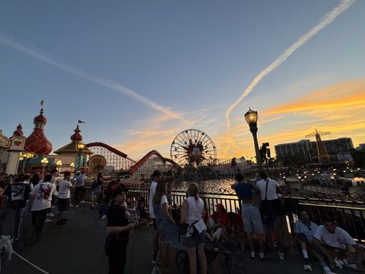 Paradise Gardens Park by null