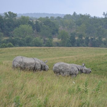 The Wilds - Rhino - Parks Near Me - Cumberland, Ohio The Wilds - Rhino - Parks Near Me - Cumberland, Ohio