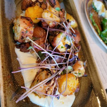 SOCIAL BIRD - Gastropubs Near Me - Lafayette, California