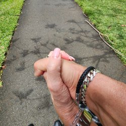 Plantation Botanical Garden - A NICE WALK WITH THE WIFE