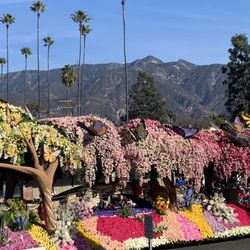 Cardiff Limousine & Transportation of Palm Springs
