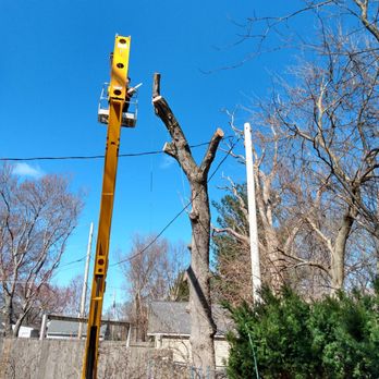 Big River Tree Service - Fences aren't ever an issue! - Tree Services Near Me Big River Tree Service - Fences aren't ever an issue! - Tree Services Near Me