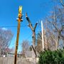 Photo of Big River Tree Service