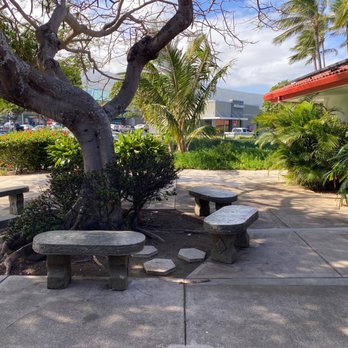 Vibrant Aloha Eye Clinic Wailuku Scene Illustration Vibrant Aloha Eye Clinic Wailuku Scene Illustration