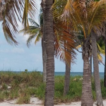 Crandon Park - Parks Near Me - Key Biscayne, Florida Crandon Park - Parks Near Me - Key Biscayne, Florida
