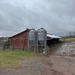 Calkins Creamery
