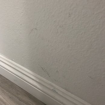 Bayless Construction and Restoration - General Contractors Near Me Bayless Construction and Restoration - General Contractors Near Me