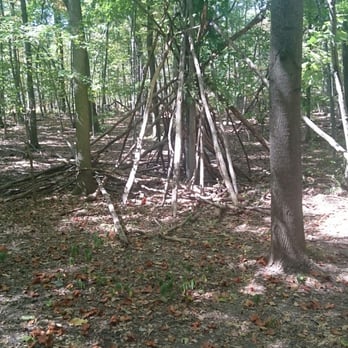 Mills Reservation - white trail tree design - Parks Near Me - Cedar Grove, New Jersey Mills Reservation - white trail tree design - Parks Near Me - Cedar Grove, New Jersey