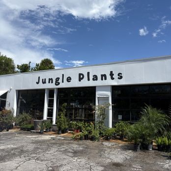 Lida's Jungle - Nurseries & Gardening Near Me - St. Petersburg, Florida Lida's Jungle - Nurseries & Gardening Near Me - St. Petersburg, Florida