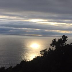 Big Sur Tours and More