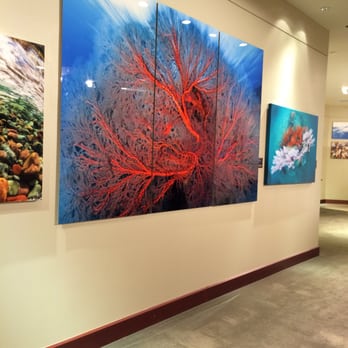 Gug Underwater - Art Galleries Near Me - Fort Lauderdale, Florida