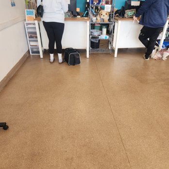 Emancipet - Check in area - Veterinarians Near Me - Philadelphia, Pennsylvania
