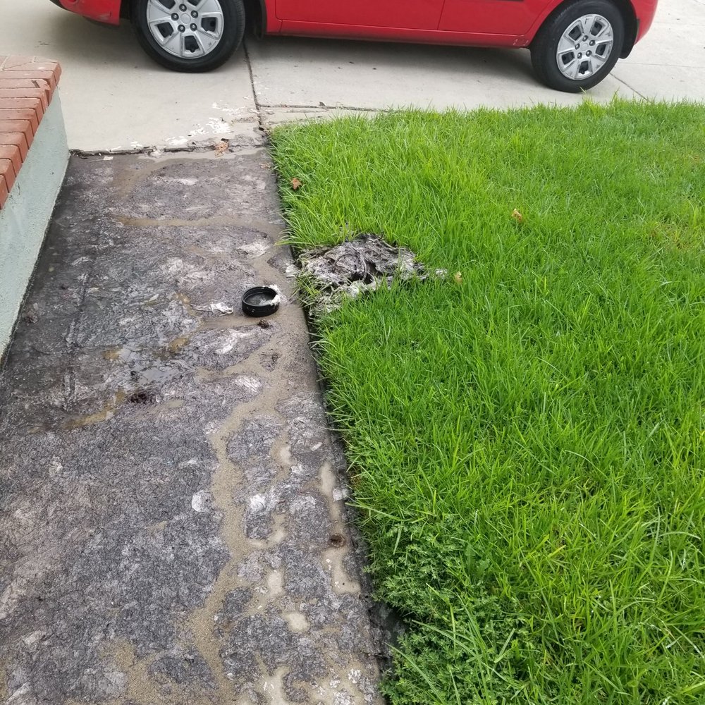 Jetters Only / Hydro Jetting - Before they cleaned up the mess. We called them out on 08/25 after it built up overnight few days after they came for initial service. - Plumbing Near Me - Burbank, California Jetters Only / Hydro Jetting - Before they cleaned up the mess. We called them out on 08/25 after it built up overnight few days after they came for initial service. - Plumbing Near Me - Burbank, California