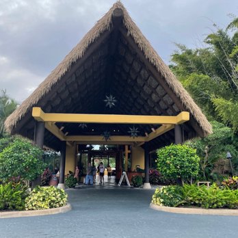 Discovery Cove - Amusement Parks Near Me - Orlando, Florida