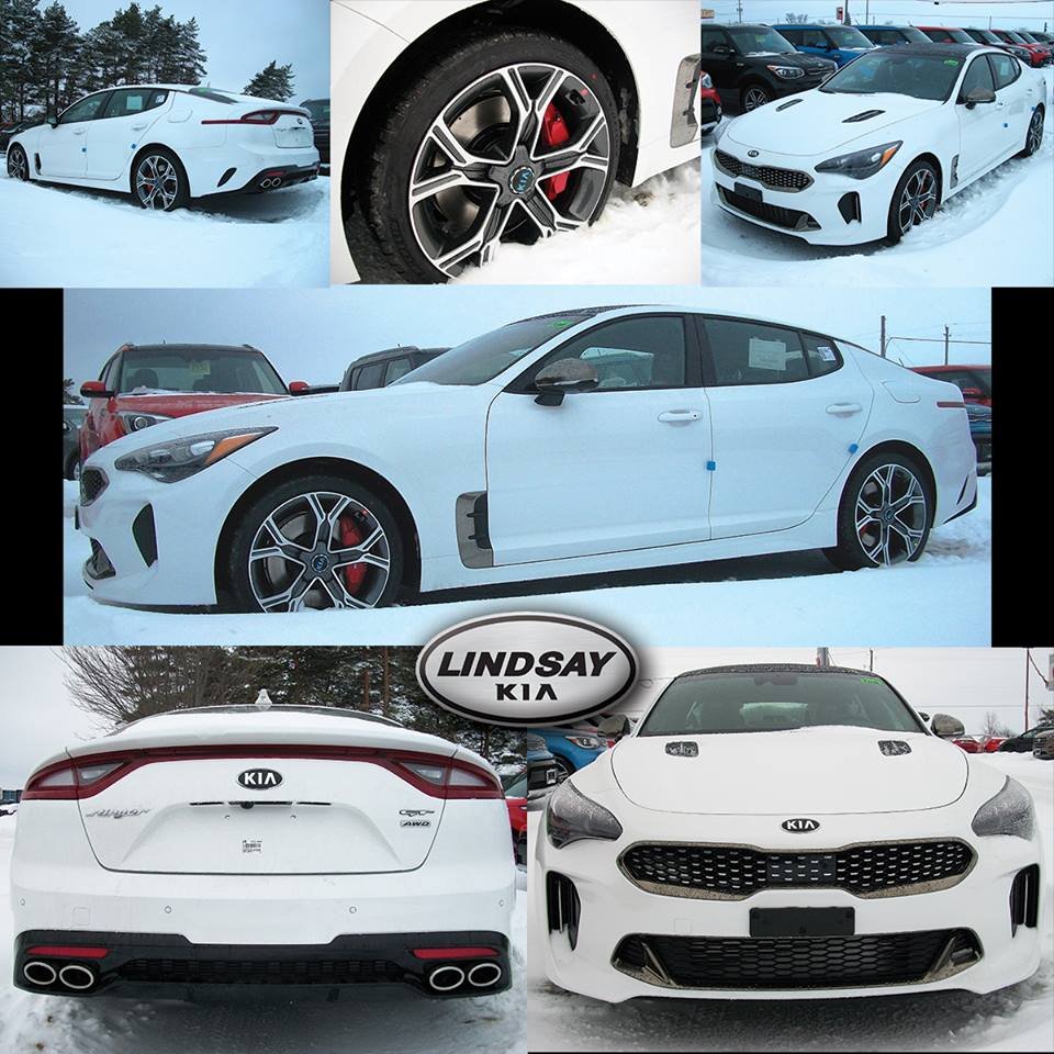 LINDSAY KIA Updated September 2024 18 Photos 2959 Highway 35 S