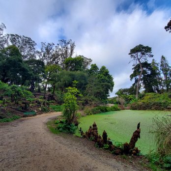 Lily Pond - Pond/trail - Parks Near Me - San Francisco, California Lily Pond - Pond/trail - Parks Near Me - San Francisco, California
